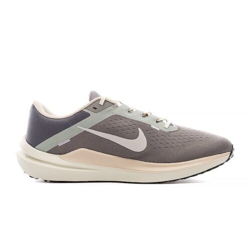 Кросівки Nike Air Winflo 10 FN7499-029