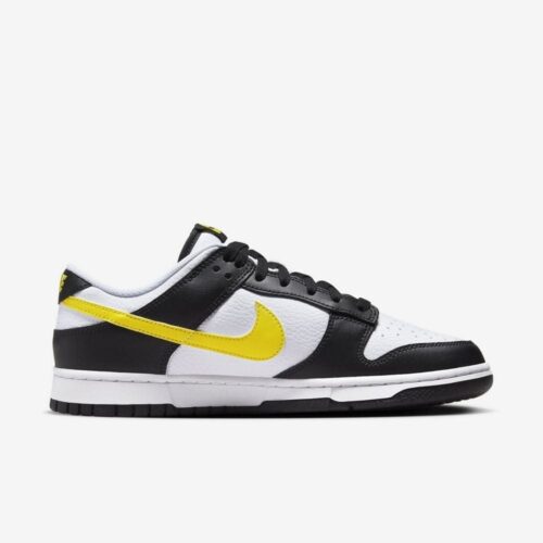 Кросівки Nike Dunk Low FQ2431-001