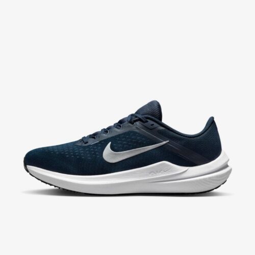 Кросівки Nike Air Winflo 10 DV4022-400