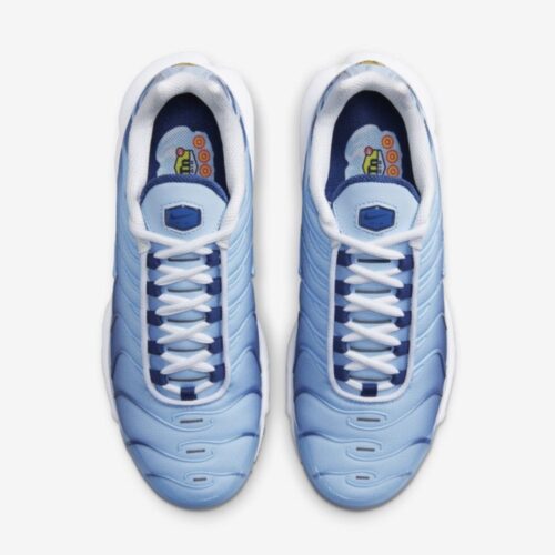 Кросівки Nike Wmns Air Max Plus FJ4736-400
