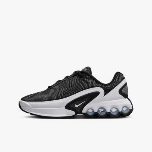 Кросівки Nike Air Max Dn FB8987-003