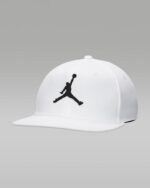Кепка Jordan Blanc Pour FD5184-100