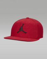 Кепка Jordan Pro FD5184-687