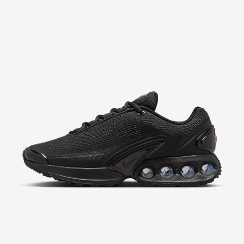 Кросівки Nike Air Max Dn FJ3145-003