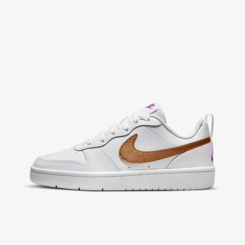 Кросівки Nike Court Borough Low 2 SE DQ5979-100