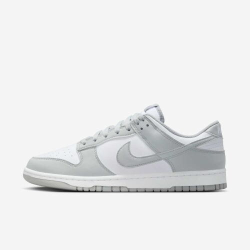 Кросівки Nike Dunk Low Retro HF5441-105