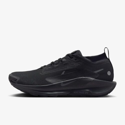 Кросівки Nike Pegasus Trail 5 Gore-Tex FQ0908-002