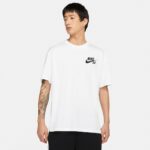 Футболка Nike Sb Chino Shorts DC7817-100